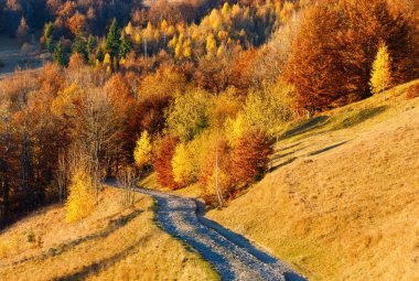Kırsal yol ve altın sonbahar dağ.
