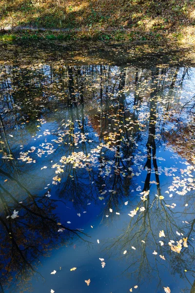 Lagoa no parque de outono . — Fotografia de Stock