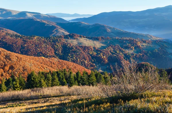 Ochtend mist in de herfst Karpaten. — Stockfoto