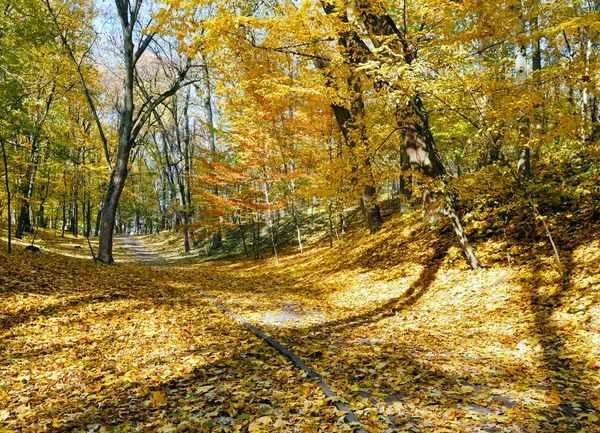 Autumn city park. — Stock Photo, Image