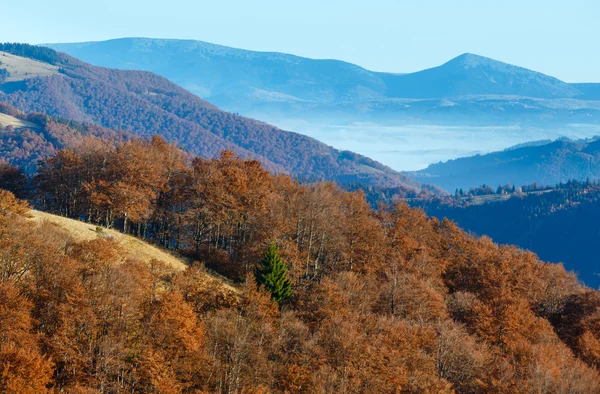 Morgennebel in den herbstlichen Karpaten. — Stockfoto