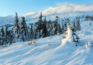 Sabah kış dağ manzarası (Karpat).