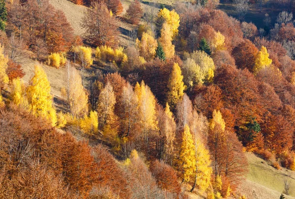 Gyllene höst i berg. — Stockfoto