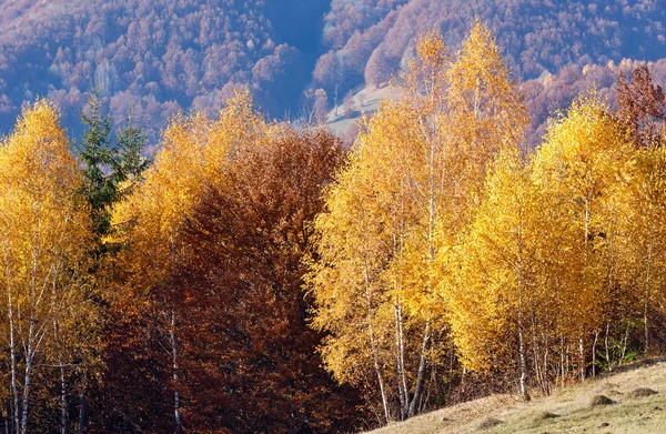 Goldener Herbst in den Bergen. — Stockfoto