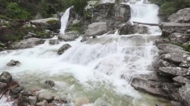 Berrak su ile yaz şelale.