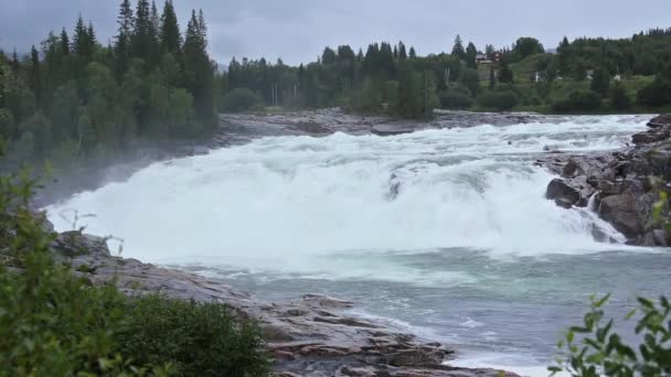 Летняя горная река (Норвегия ) — стоковое видео