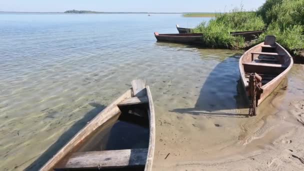 Houten boten op zand dichtbij kust. — Stockvideo
