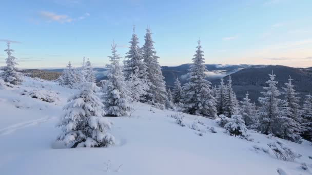 Morgon vinterlandskap berg. — Stockvideo