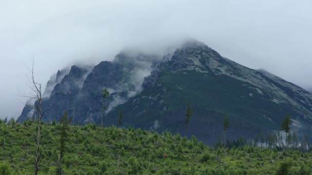 Alto Tatras (Eslovaquia) Verano Nublado Vista . — Vídeos de Stock