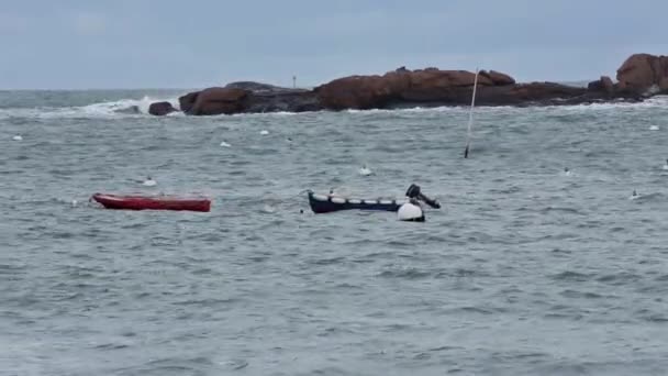 Zwei Boote auf Wellen. rosa Granitküste, Frankreich. — Stockvideo