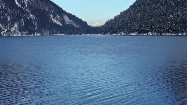 Lago Plansee (Áustria) vista de inverno . — Vídeo de Stock