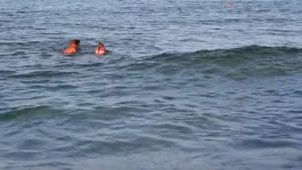 Vacaciones familiares de verano en el mar . — Vídeo de stock