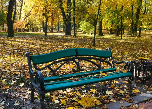 Herfst stadspark. — Stockfoto
