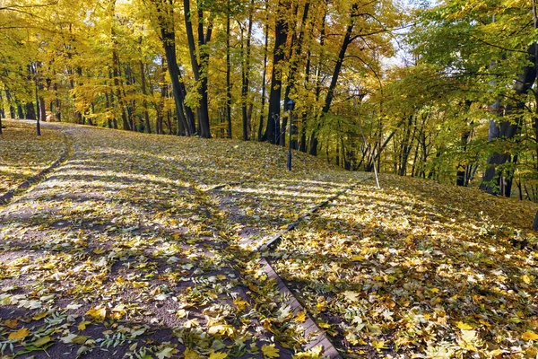 Jesienny park miejski. — Zdjęcie stockowe