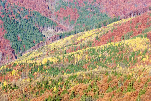 Herbstfarbene Berghänge. — Stockfoto