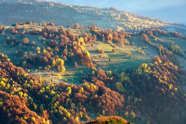 Bunte Bäume am Hang im Herbst Karpaten. — Stockfoto
