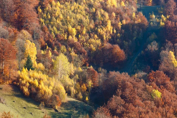 Золотая осень в горах . — стоковое фото