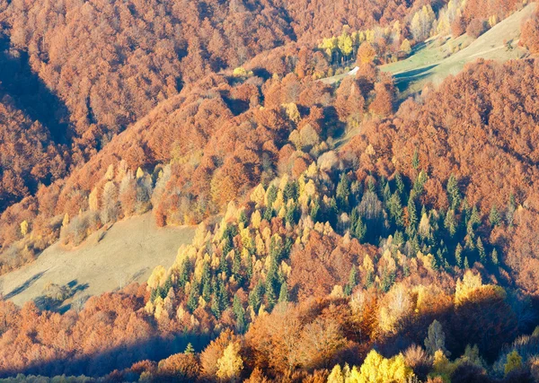 Золотая осень в горах . — стоковое фото