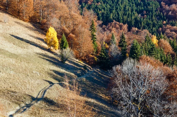 Sonbahar dağ yamacı'nın kırsal yolda. — Stok fotoğraf