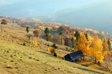 Dağda altın sonbahar.