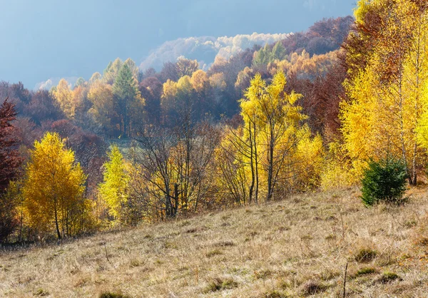 Gyllene höst i berg. — Stockfoto