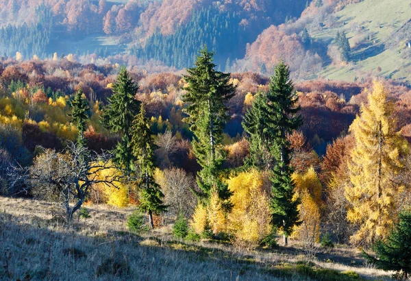 Χρυσή φθινόπωρο στο βουνό. — Φωτογραφία Αρχείου