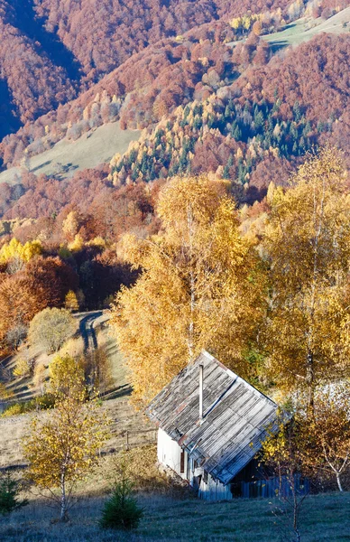 Rural road and golden autumn in mountain. — Stock Photo, Image