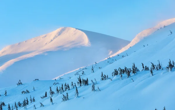 Matin paysage de montagne d'hiver (Carpates ). — Photo