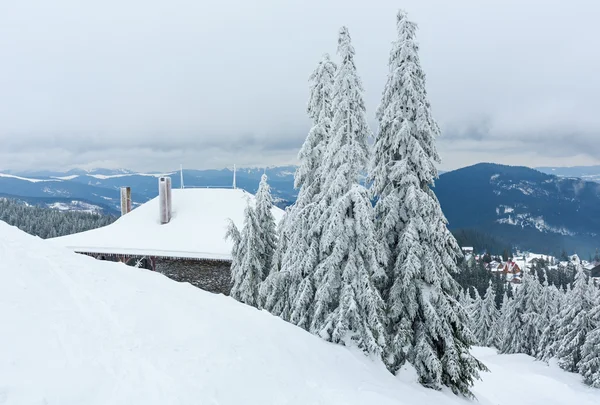 Árvores de abeto nevadas geladas na montanha de inverno . — Fotografia de Stock