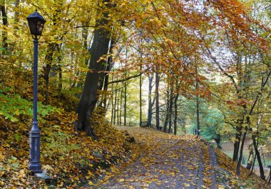 Sonbahar Şehir Parkı.