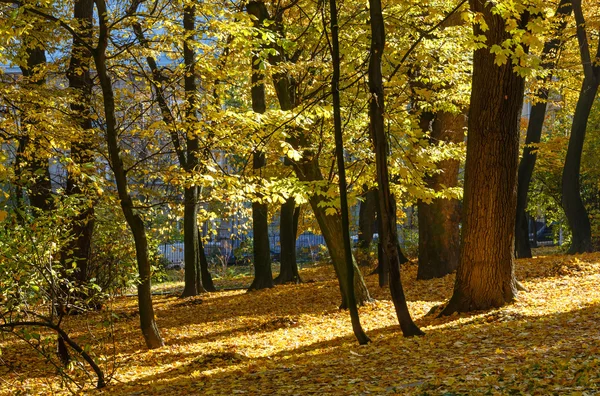 Podzimní městský park. — Stock fotografie