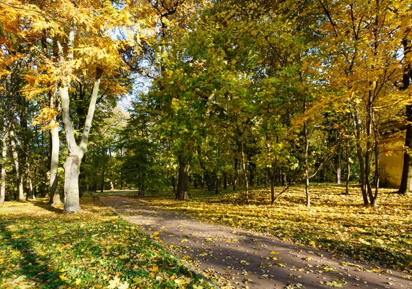 Podzimní městský park. — Stock fotografie