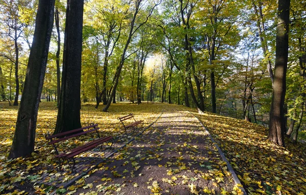 Осінній міський парк . — стокове фото