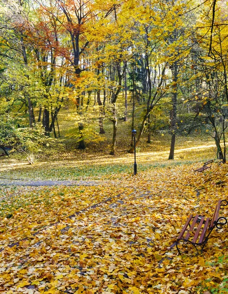 Parque de la ciudad de otoño. — Foto de Stock