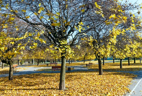 Jesienny park miejski. — Zdjęcie stockowe