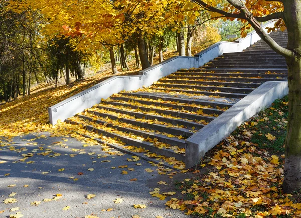 가을 도시 공원. — 스톡 사진