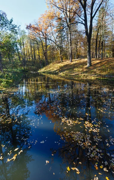 Étang dans le parc d'automne de la ville . — Photo