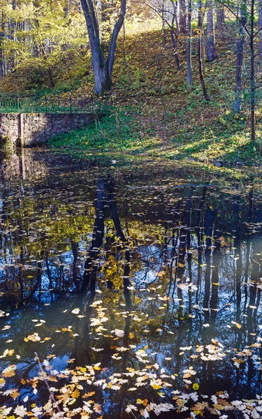 Teich im städtischen Herbstpark. — Stockfoto