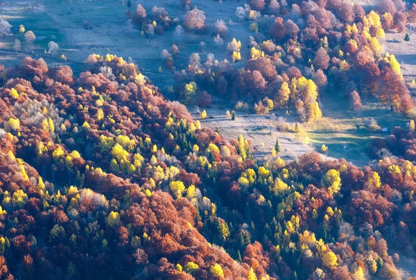 Színes fák őszi Kárpát lejtőn. — Stock Fotó