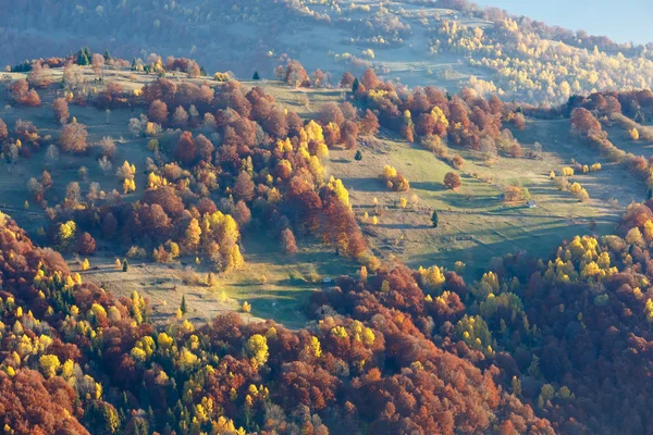 Alberi colorati sul pendio in autunno Carpazi . — Foto Stock