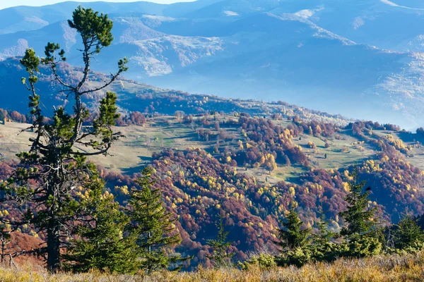 Morgennebel in den herbstlichen Karpaten. — Stockfoto