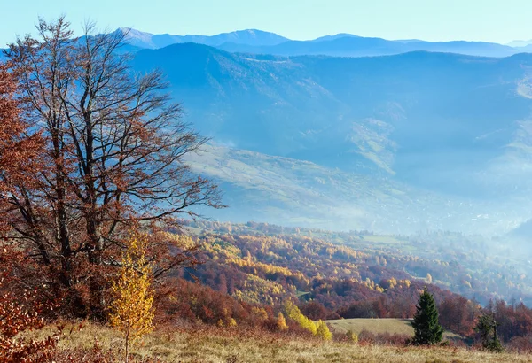 Goldener Herbst in den Bergen. — Stockfoto