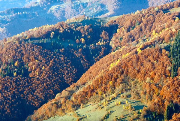 Outono dourado na montanha . — Fotografia de Stock