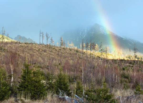 Bunter Regenbogen in den Bergen. — Stockfoto