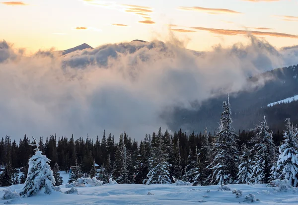 Nascer do sol inverno paisagem de montanha (Cárpatos ). — Fotografia de Stock