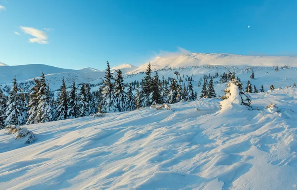 Manhã inverno paisagem de montanha (Cárpatos ). — Fotografia de Stock