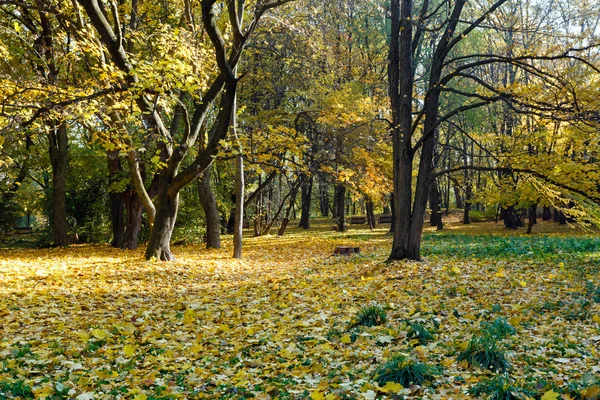 Stadtpark im Herbst. — Stockfoto