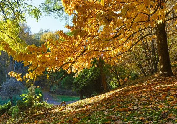 Jesienny park miejski. — Zdjęcie stockowe