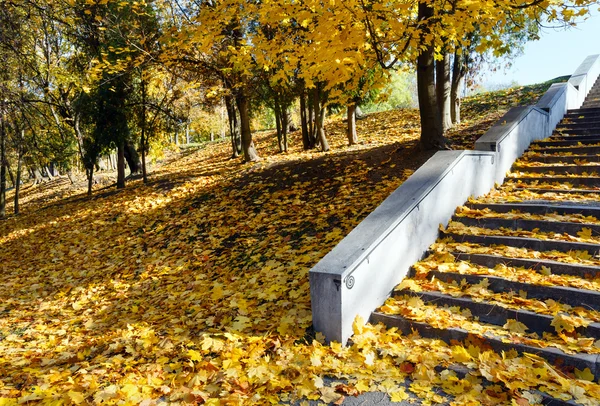 Stadtpark im Herbst. — Stockfoto