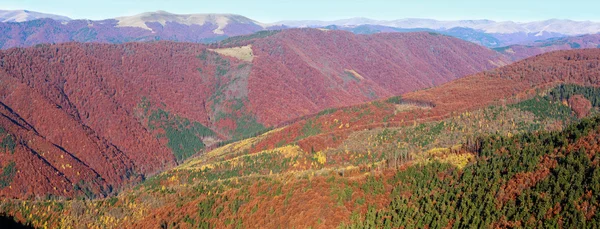 Pendientes de montaña de color otoño . — Foto de Stock